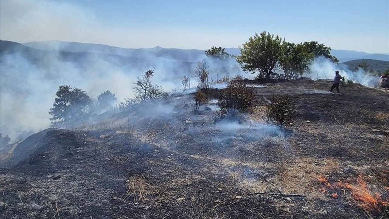 Bursa'da Orman Yangınına Hızla Müdahale Ediliyor