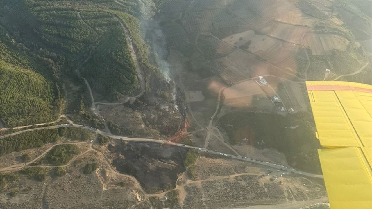 Bursa'da Orman Yangınına Hızla Müdahale Ediliyor