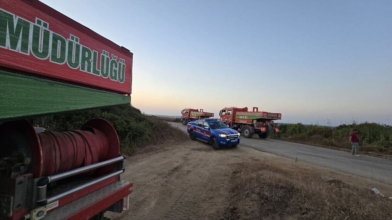 Bursa Mudanya'daki Orman Yangını Kontrol Altına Alındı