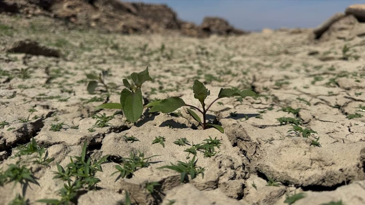 Çanakkale'de Kuraklık: Su ve Tarımda Kriz