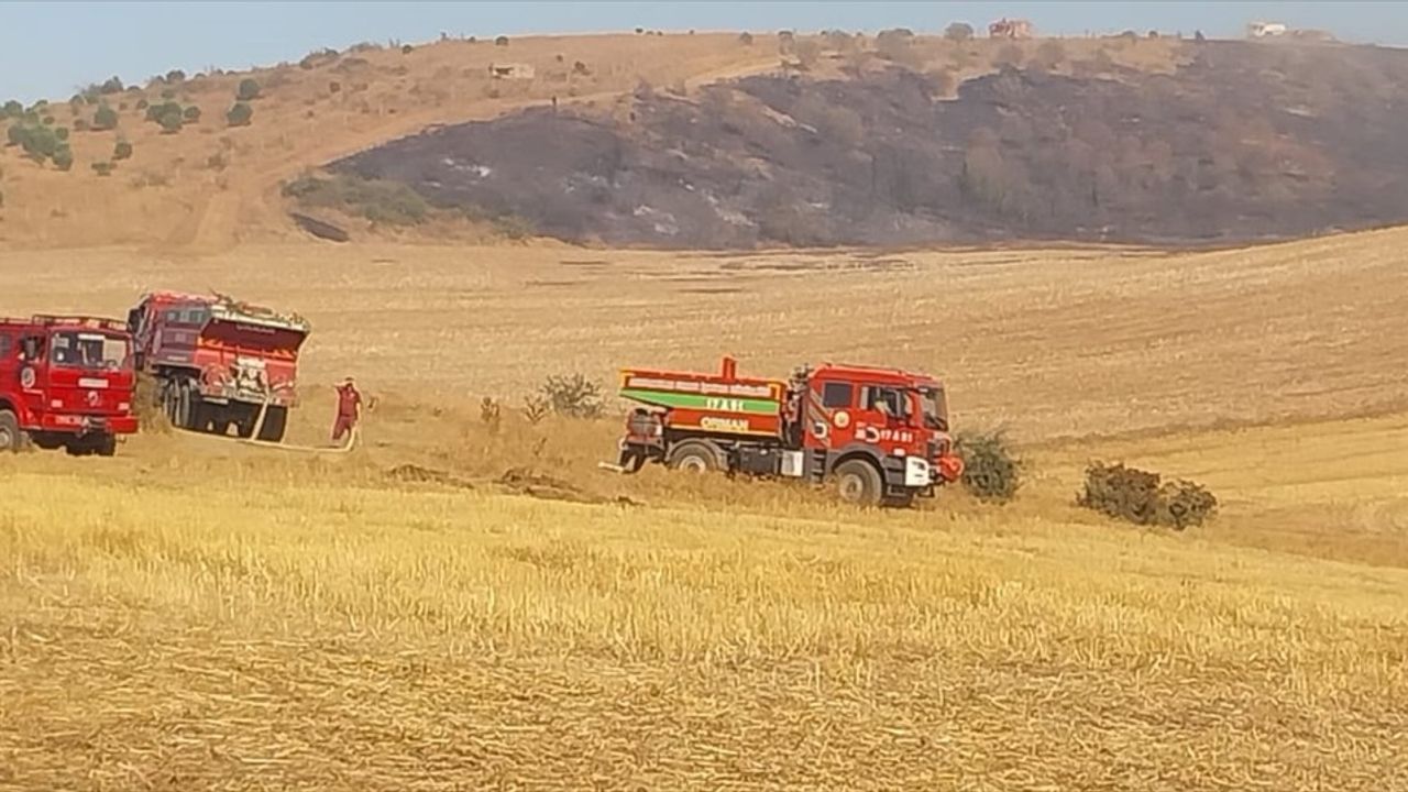 Çanakkale'de Tarım Arazisinde Yangın Kontrol Altına Alındı