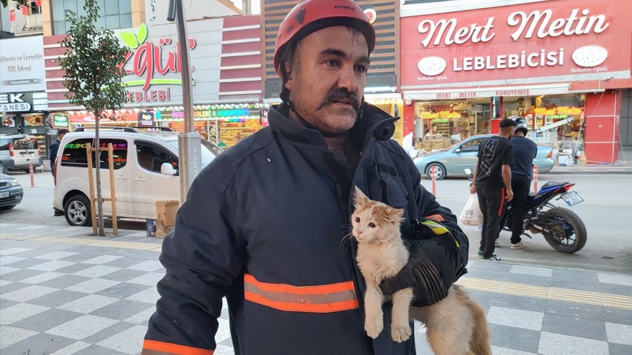 Çorum'da Ağaca Mahsur Kalan Kedi Kurtarıldı