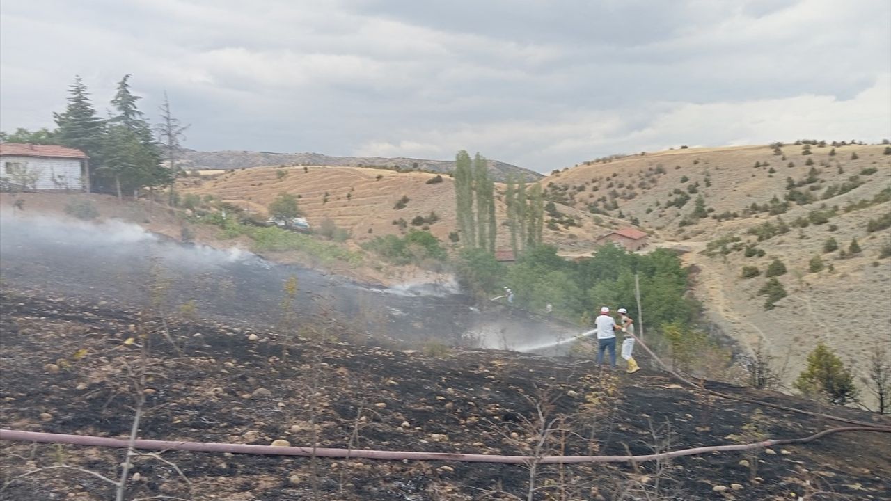 Çorum'da Orman Yangını: 10 Dekar Alan Kül Oldu