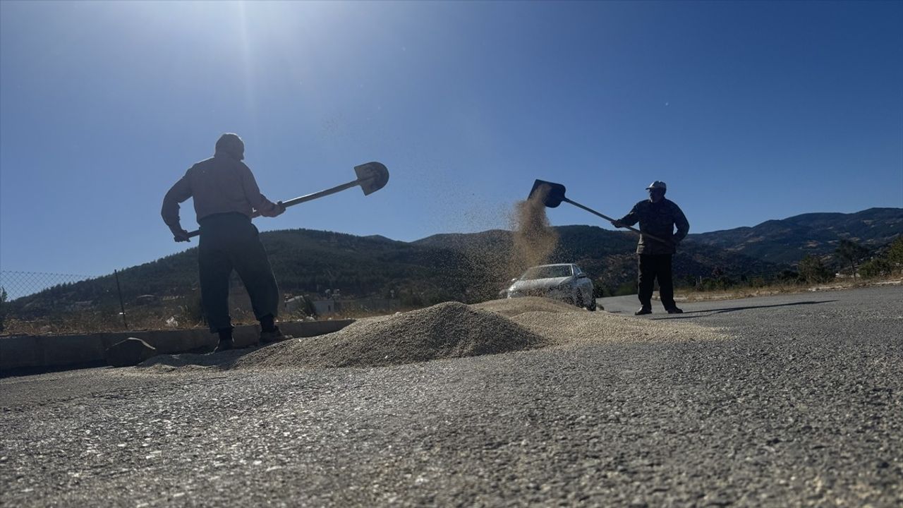 Dronla Kuş Koruma Yöntemi: Kahramanmaraş'ta Çiftçiler Akdarıyı Koruyor