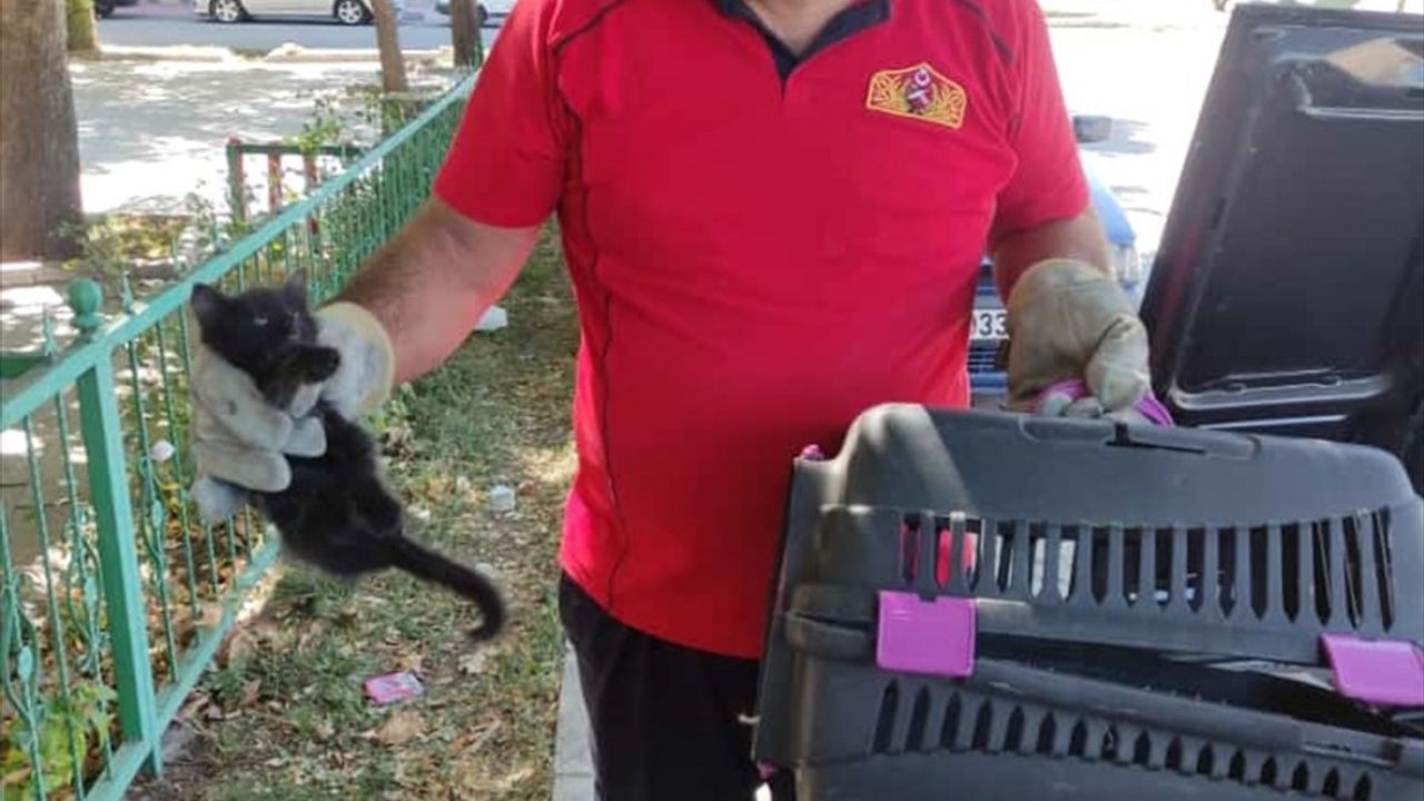 Erzincan'da İtfaiye, Motor Kısmında Sıkışan Kedi Yavrusunu Kurtardı