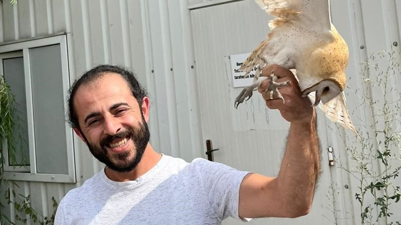Erzurum'da Peçeli Baykuş Yeniden Doğaya Kavuştu