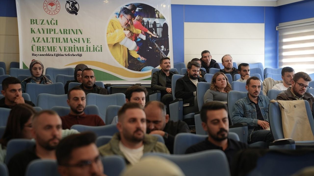 Erzurum'da Veteriner Hekimlere Buzağı Sağlığı Eğitimi