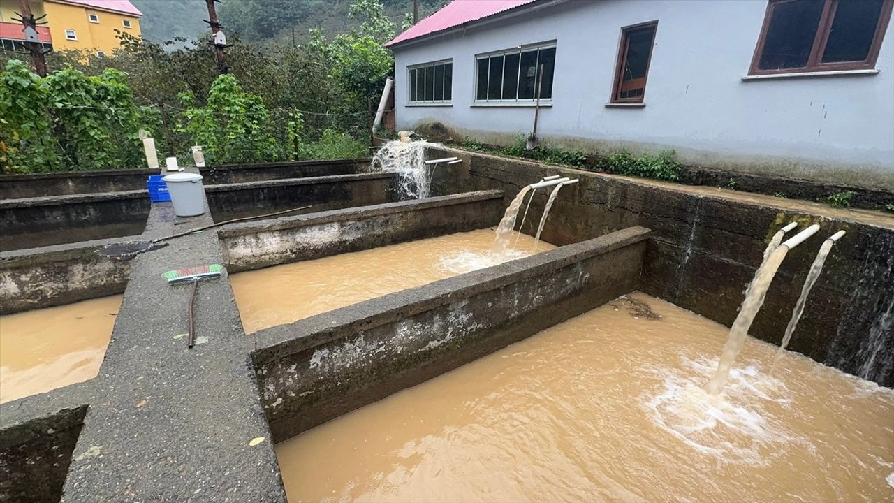 Giresun'da Sağanak Yağış Hayatı Olumsuz Etkiliyor