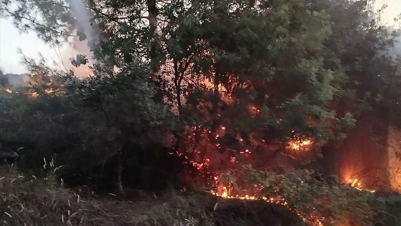 Hatay'daki Orman Yangını Kontrol Altına Alındı