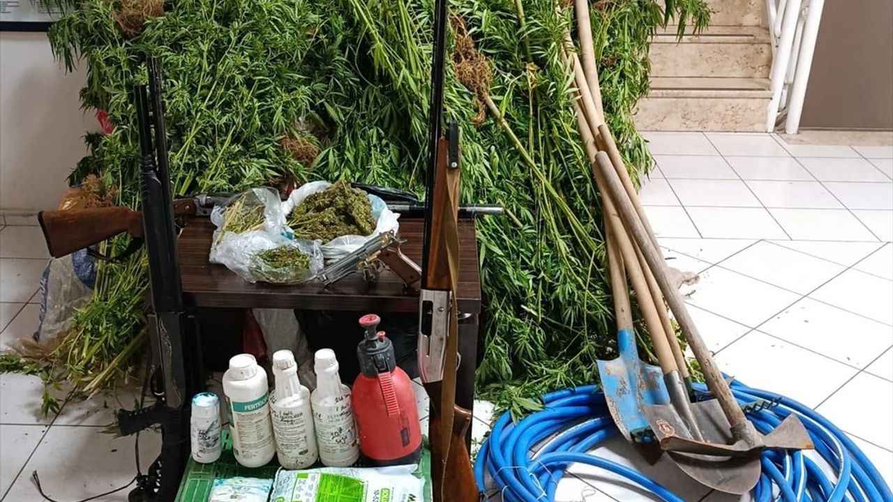 İzmir'de Hint Keneviri Yetiştiren Şüpheli Yakalandı