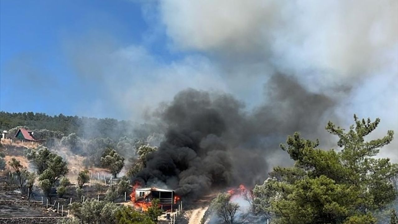 İzmir Kemalpaşa'da Tarım Arazisinden Ormanlık Alana Sıçrayan Yangın Kontrol Altına Alındı