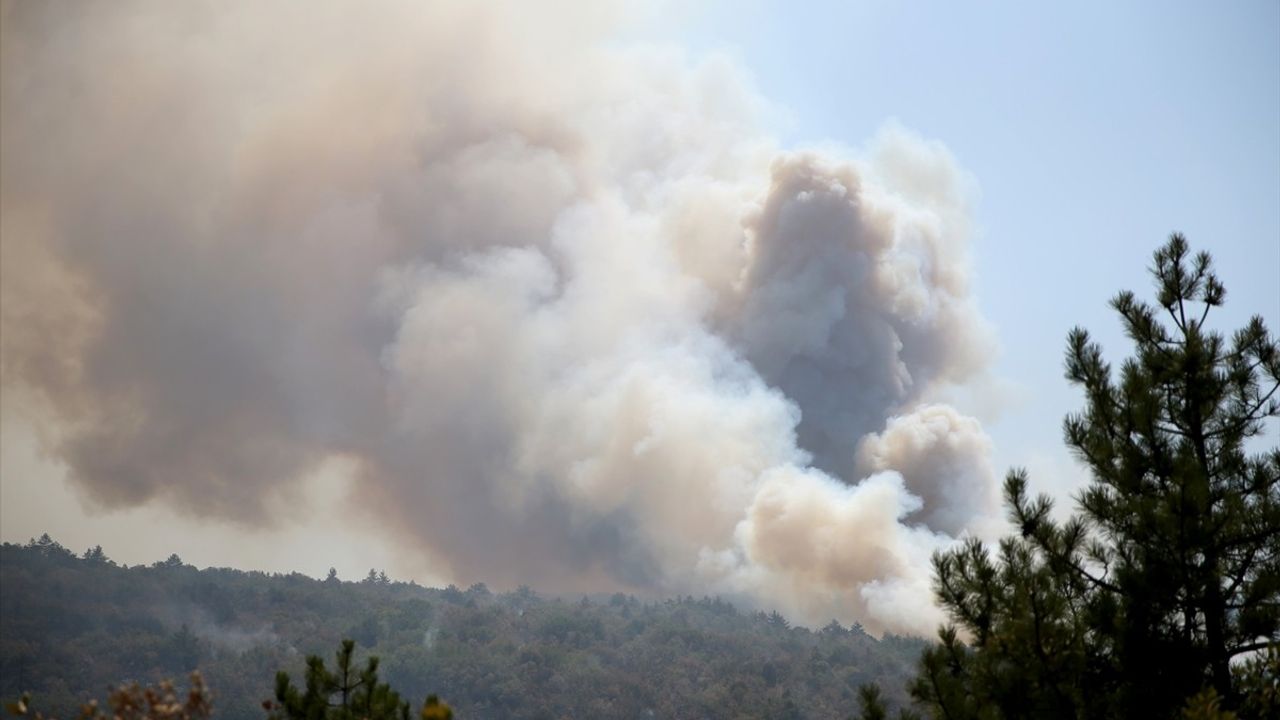 Karabük'teki Yangın Kastamonu'ya Sirayet Etti