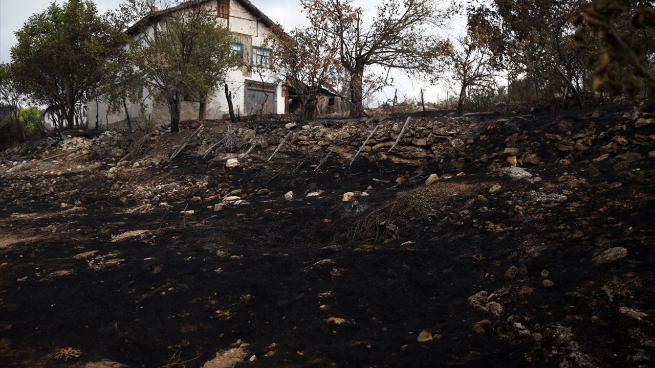Kastamonu ve Karabük'teki Orman Yangınlarına Müdahale Devam Ediyor