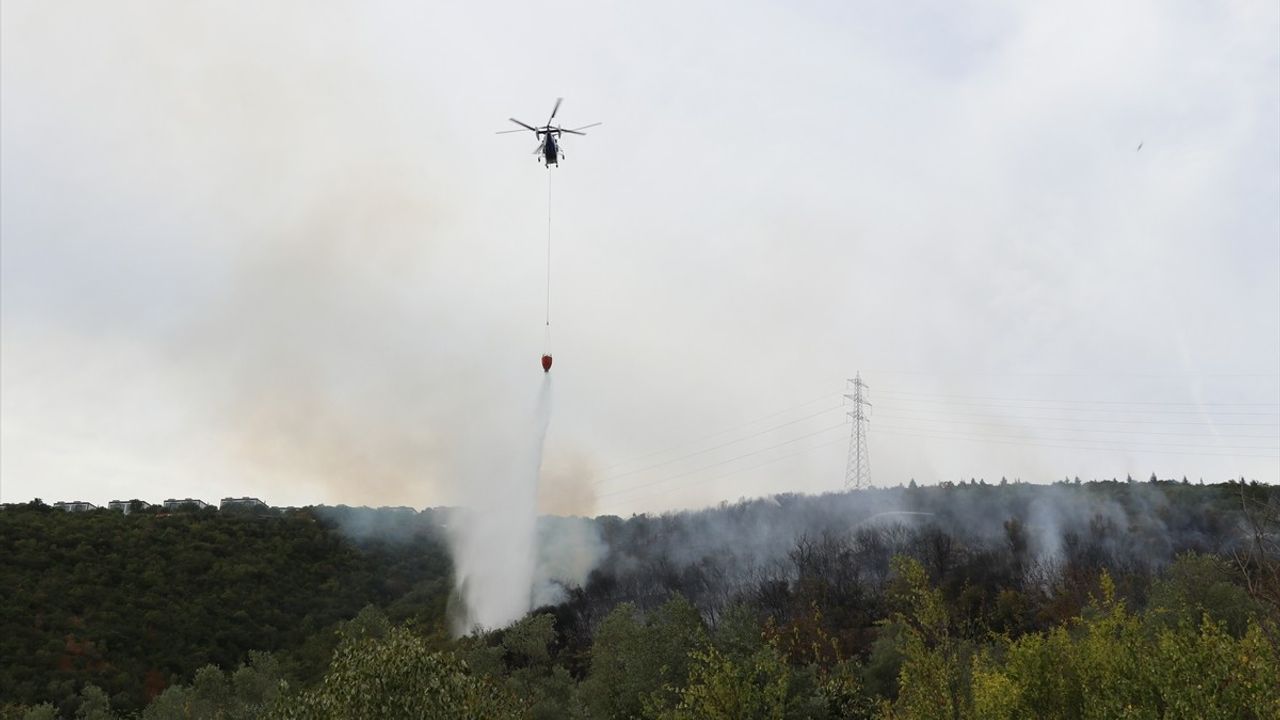Kocaeli'de Orman Yangını Kontrol Altında