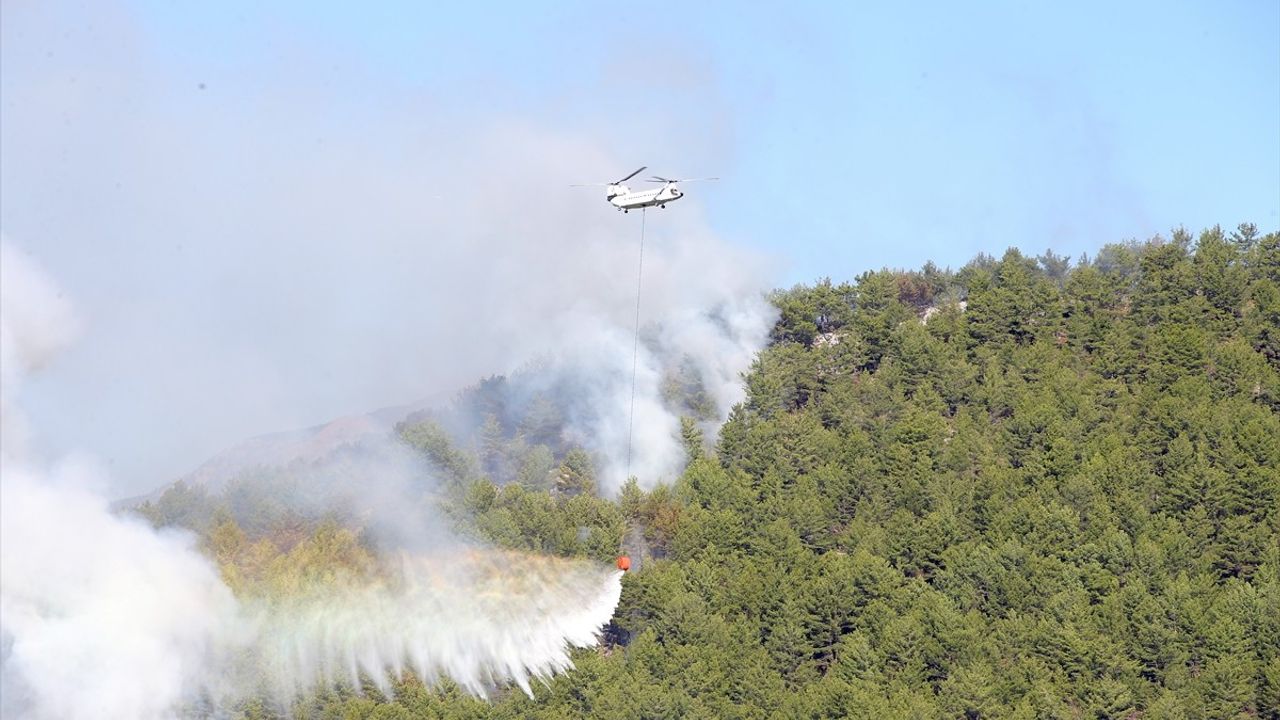 Köyceğiz Orman Yangınına Müdahale Devam Ediyor