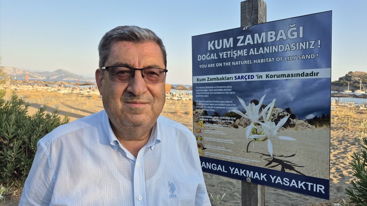 Kum Zambakları Sahilleri Süslemeye Devam Ediyor