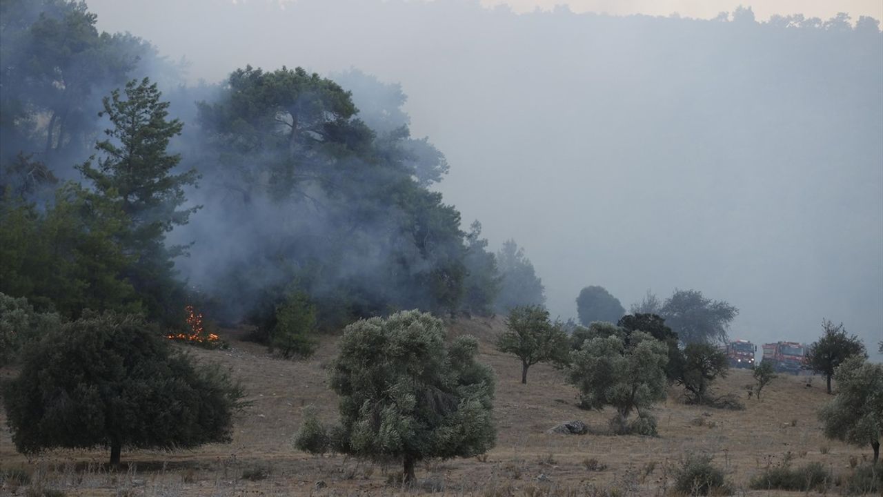Milas'ta Orman Yangınına Hızla Müdahale Ediliyor