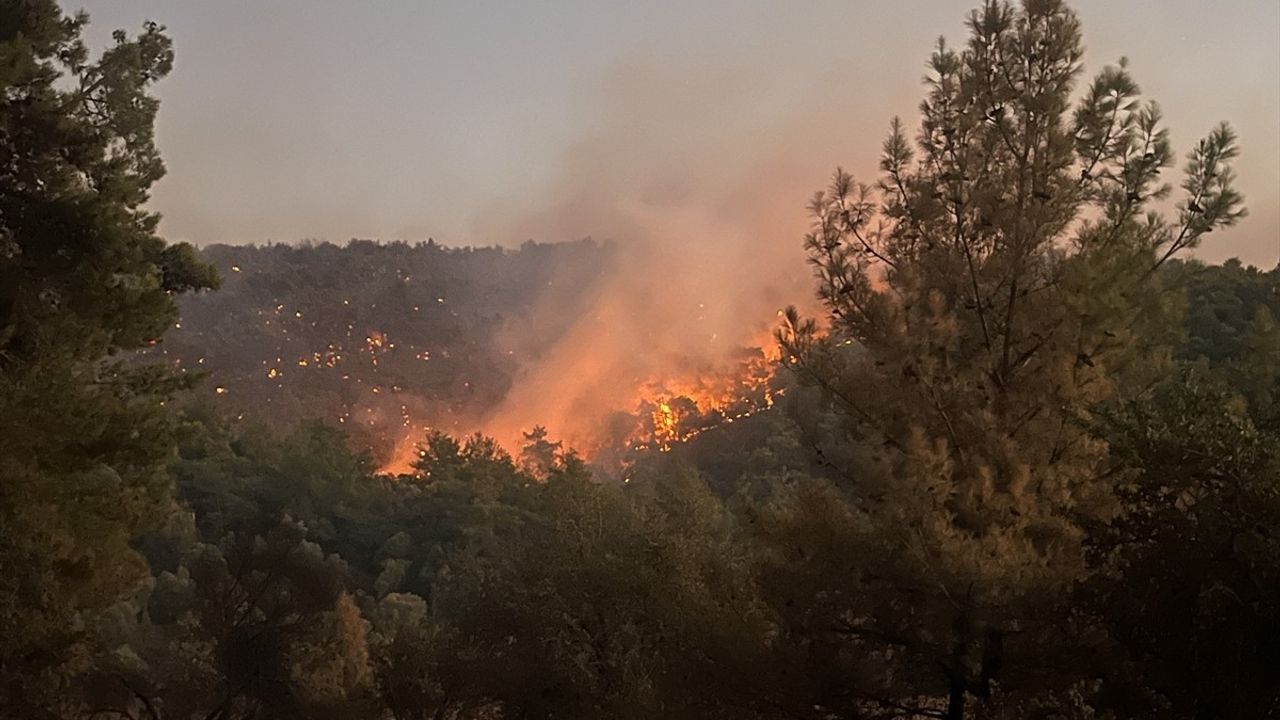 Milas'taki Orman Yangınına Müdahale Devam Ediyor
