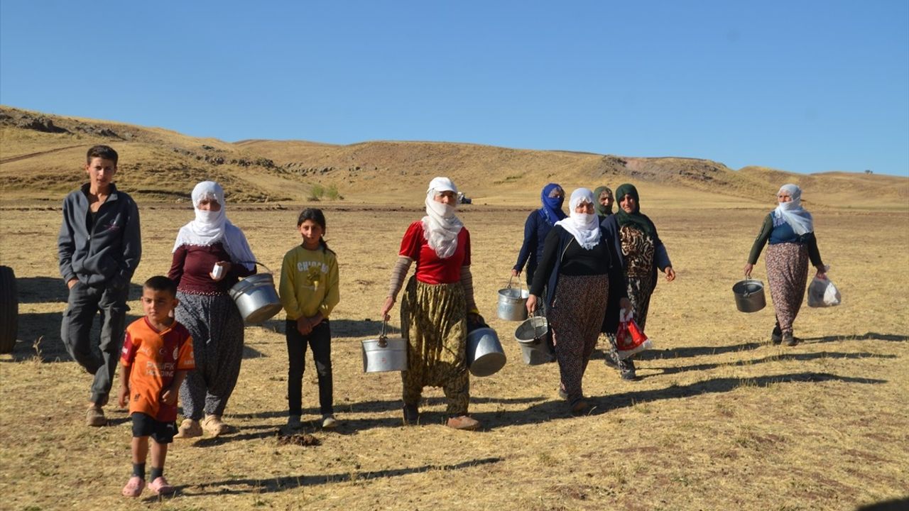 Muş'ta Kadınların Süt Sağım Mesaisi Devam Ediyor