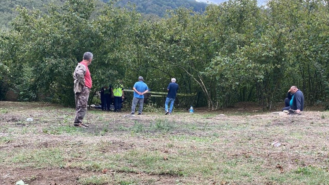 Sakarya'da Traktör Devrildi: 88 Yaşındaki Sürücü Hayatını Kaybetti
