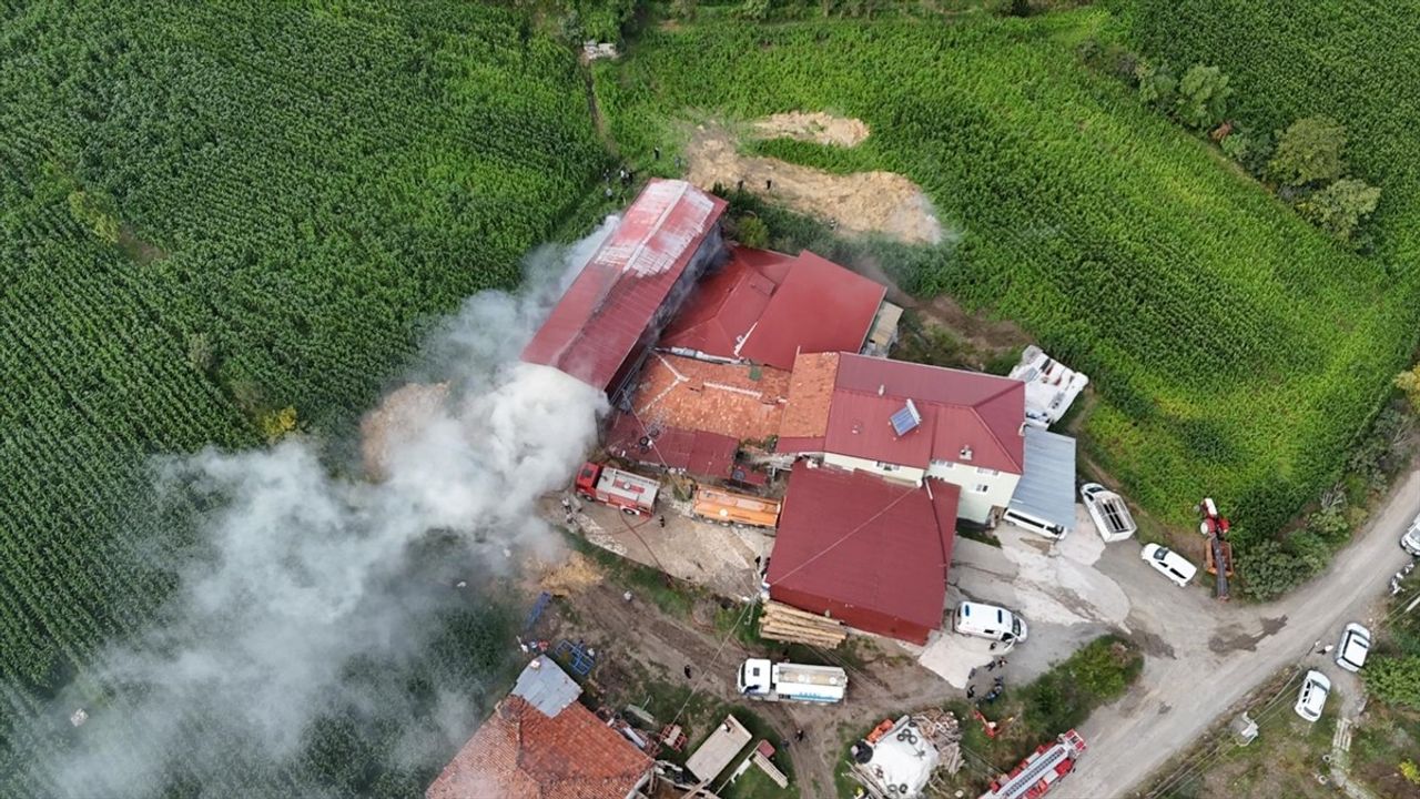 Samsun Alaçam’da Samanlık Yangını Kontrol Altına Alındı