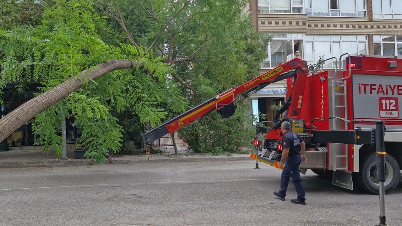 Samsun'da Ağaç Devrildi, Otomobil Hasar Gördü