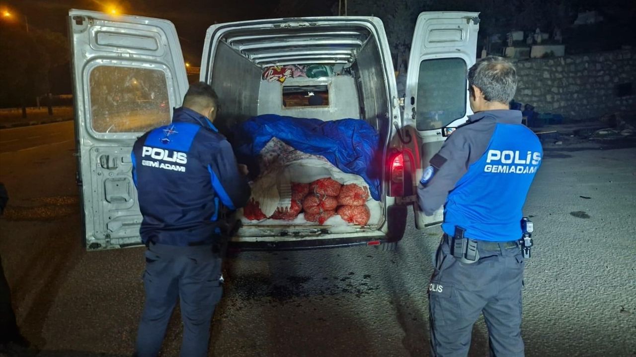 Samsun'da Kaçak Midye Operasyonu: 5 Ton Midye Ele Geçirildi