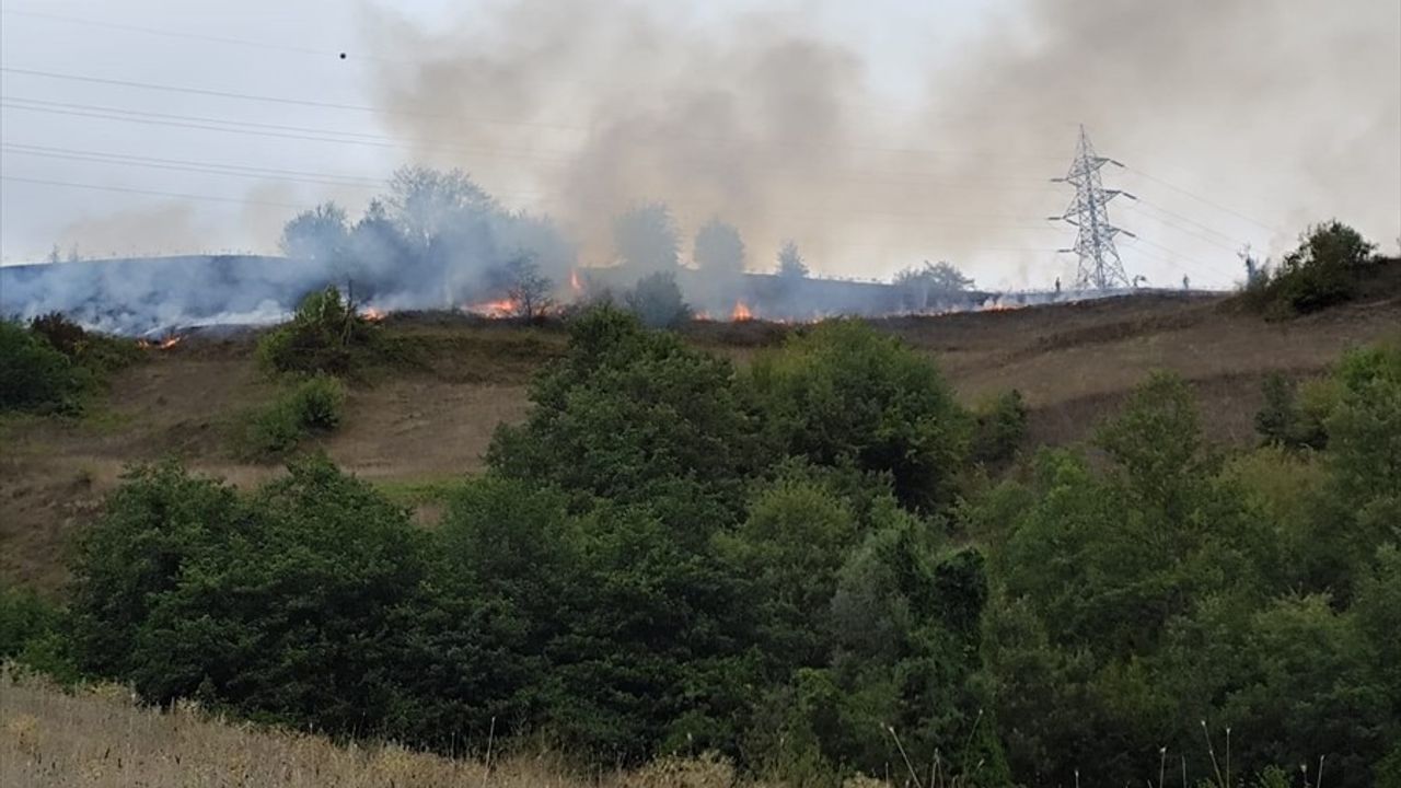 Samsun'da Yangın: 150 Dekar Alan Zarar Gördü