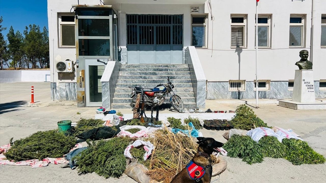 Şanlıurfa'da Uyuşturucu Operasyonu: 3 Şüpheli Yakalandı