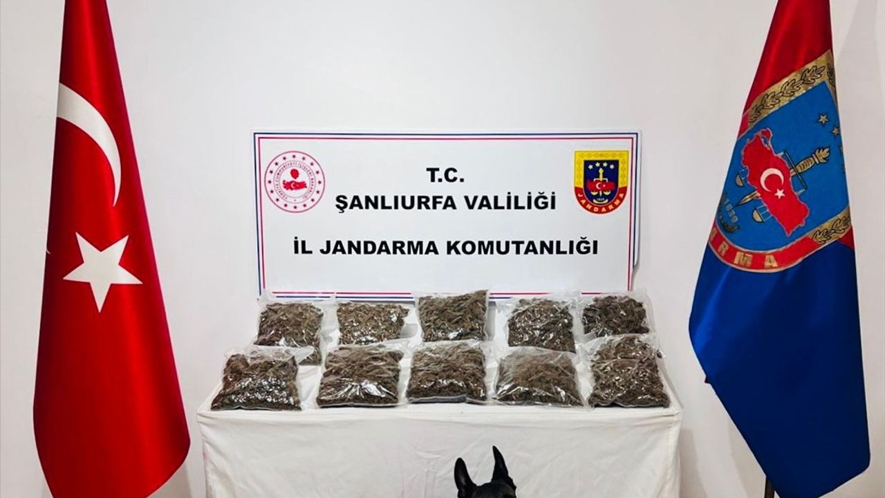 Şanlıurfa'da Uyuşturucu Operasyonu: 6 Kişi Tutuklandı