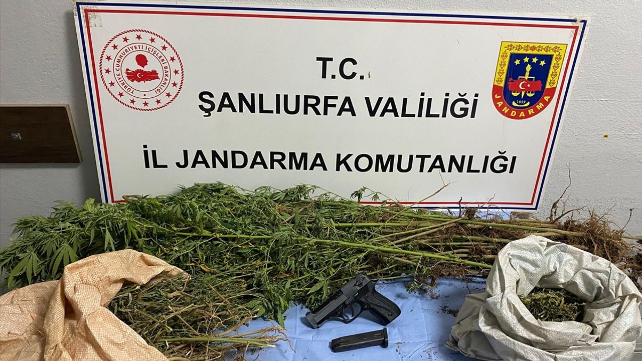 Şanlıurfa'da Uyuşturucu Operasyonu: 8 Gözaltı