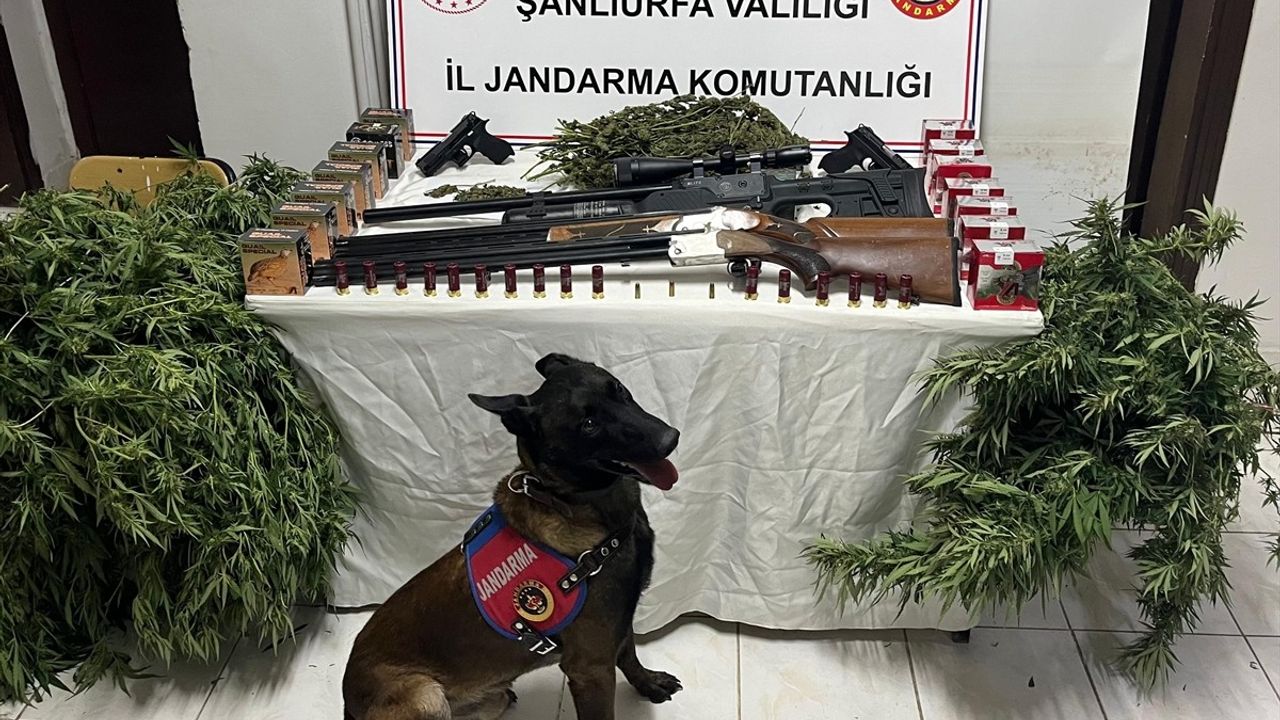 Şanlıurfa'da Uyuşturucu ve Silah Operasyonu: Üç Şüpheli Gözaltında