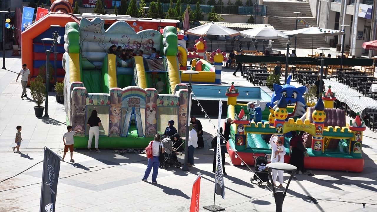 Şırnak'ta Bir Anadolu Şenliği Başladı