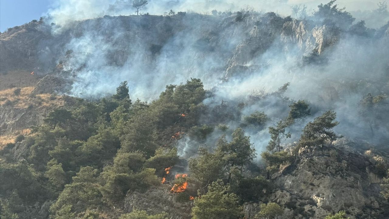 Söke'deki Orman Yangını Kontrol Altına Alındı