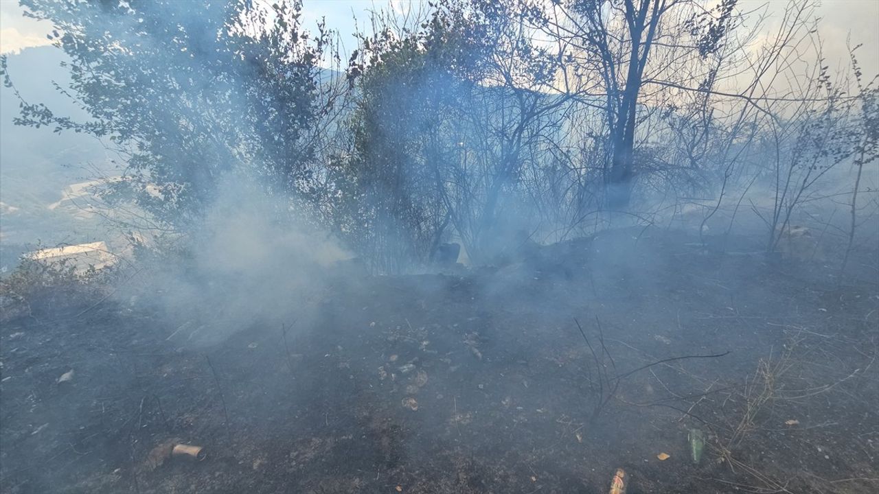 Zonguldak'ta Kontrol Altına Alınan Örtü Yangını