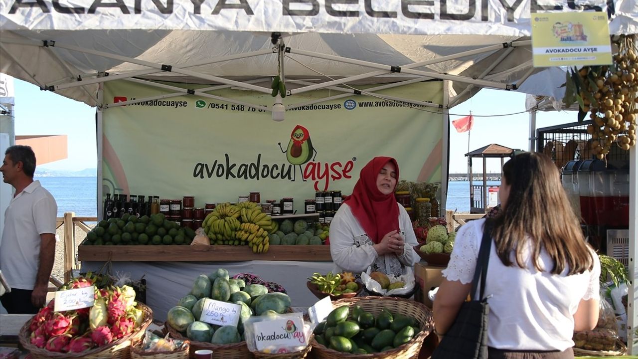 Alanya Tropikal Meyve Festivali Başladı