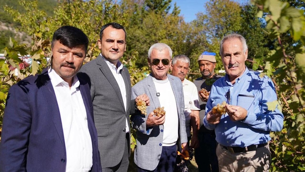 Antalya'da 2. Yazır Üzümü Şenliği Coşkulu Geçti