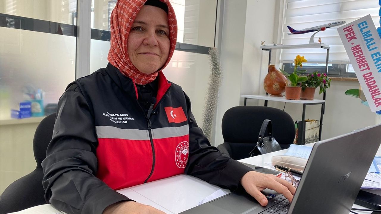 Antalya'da Fırtına Sebebiyle Sera Hasar Tespiti Başlatıldı