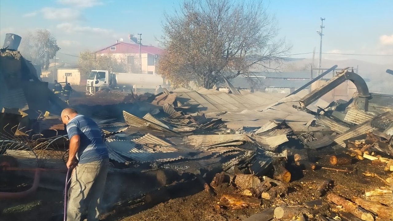 Ardahan'daki Yangında 23 Hayvan Telef Oldu