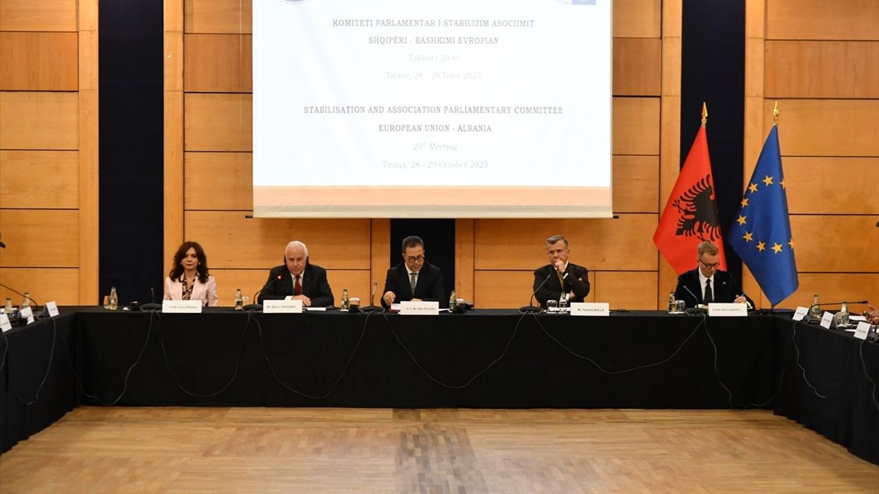 Arnavutluk-AB İstikrar ve Ortaklık Parlamento Komitesi Toplantısı