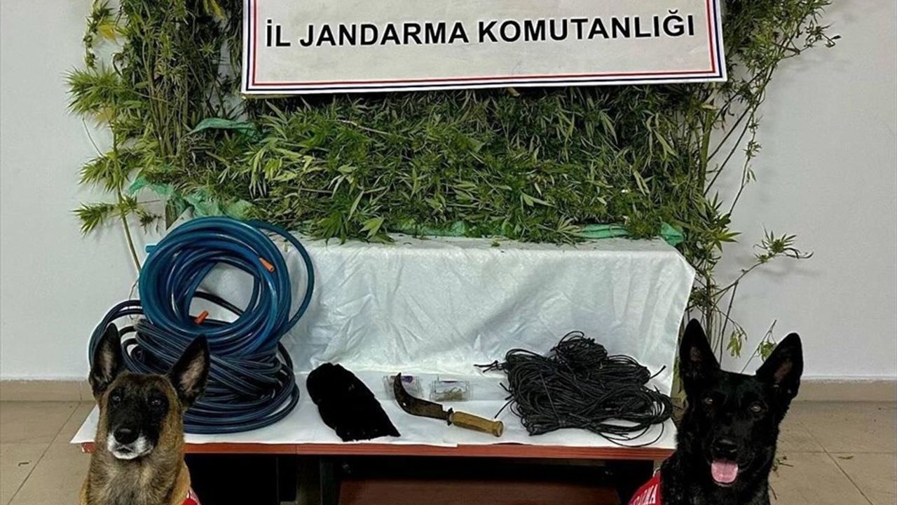 Artvin'de Uyuşturucu Ticareti Yapan Bir Zanlı Tutuklandı
