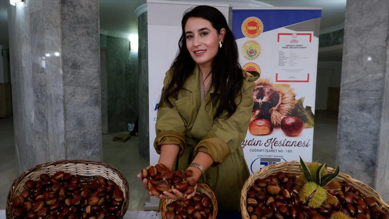 Aydın'da Kestane Sezonu Başladı