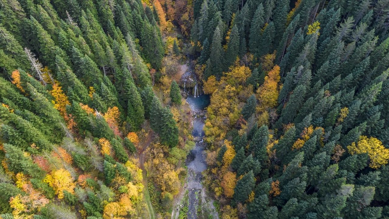 Azdavay'da Sonbahar Renkleri Saray Şelalesi'nde Can Buluyor