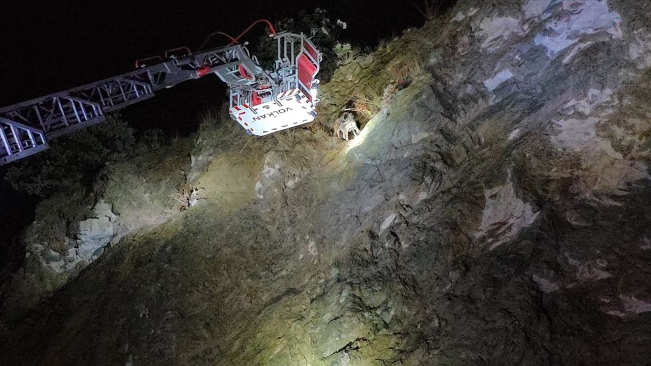 Bursa'da Kayalıkta Mahsur Kalan Köpek Kurtarıldı