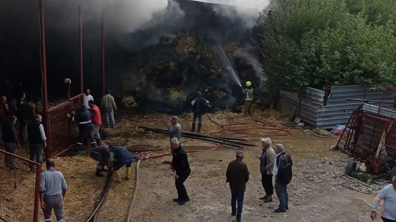 Bursa'da Küçükbaş Hayvanları Tehdit Eden Yangın