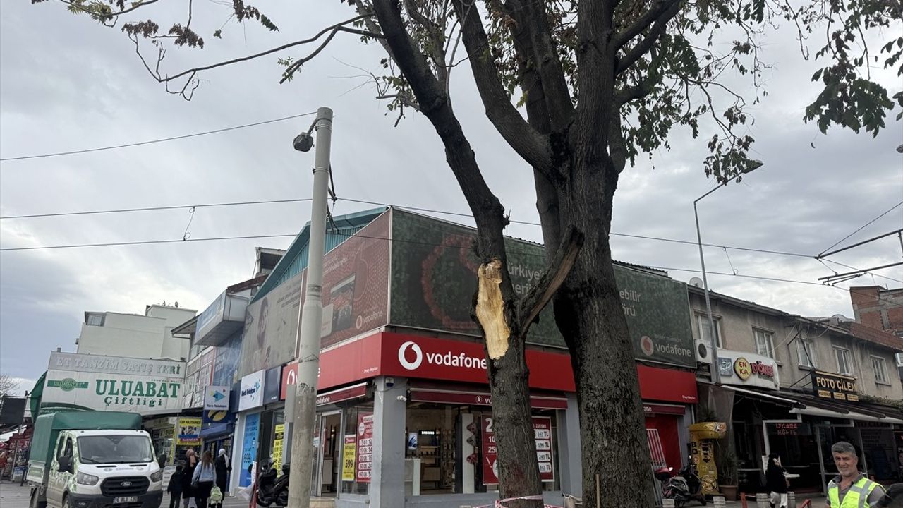 Bursa'da Kuvvetli Lodos Hayatı Olumsuz Etkiliyor