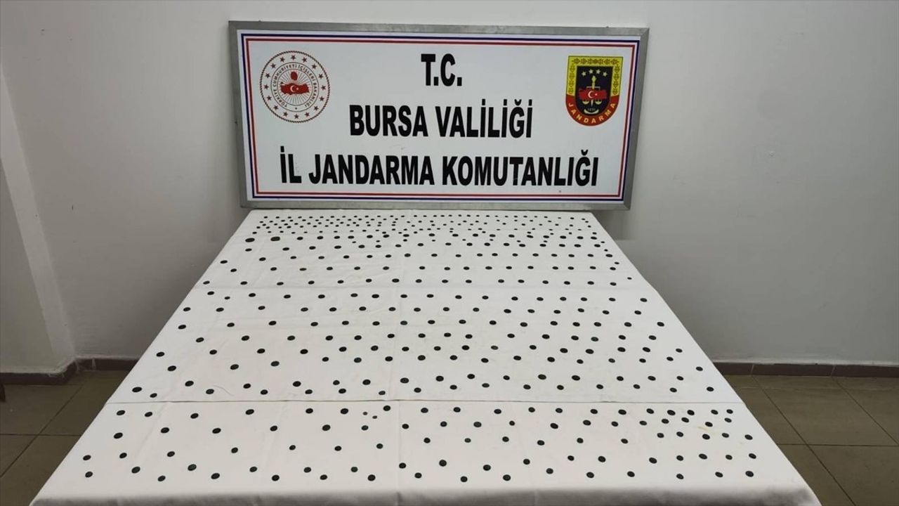 Bursa'da Tarihi Eser Operasyonu: 437 Sikke Ele Geçirildi