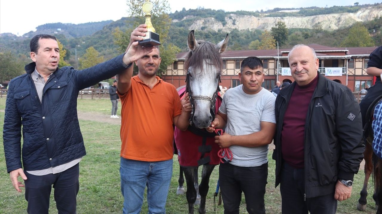 Cumhuriyet Kupası Rahvan At Yarışları Ünye'de Gerçekleştirildi