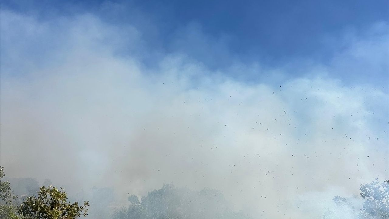 Diyarbakır'da Kırsal Alanı Tehdit Eden Yangın