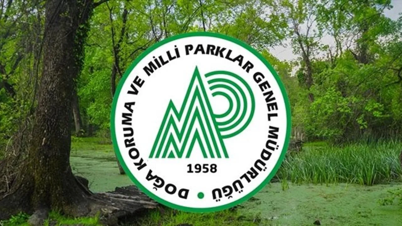 Doğa Koruma ve Milli Parklar'dan Dev Personel Alım Müjdesi! 2025 Alımı İçin Şartlar Açıklandı 